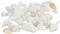 Sea Shells - White Real Mixed Beach Seashells (1lb) - Shells for Crafts - Ocean Decor - Beach Party Decorations - Seashell Decor - Large Shells Crafts